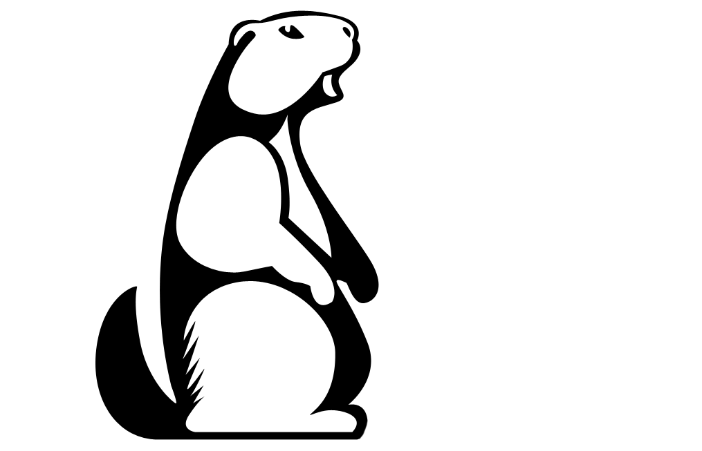 Svizac webshop